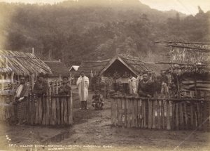 村の風景-コロニティ（コリント）ワンガヌイ川、1885年5月7日（アルブメンプリント）